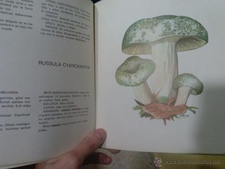 Libros: Libro SETAS PERRETXIKOAK - Foto 2