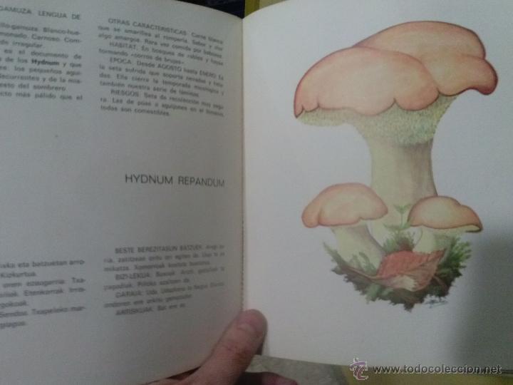 Libros: Libro SETAS PERRETXIKOAK - Foto 3