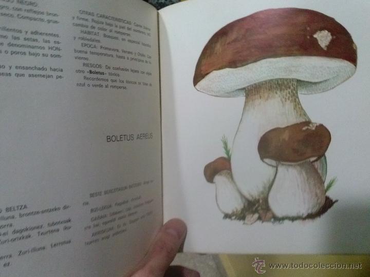Libros: Libro SETAS PERRETXIKOAK - Foto 4