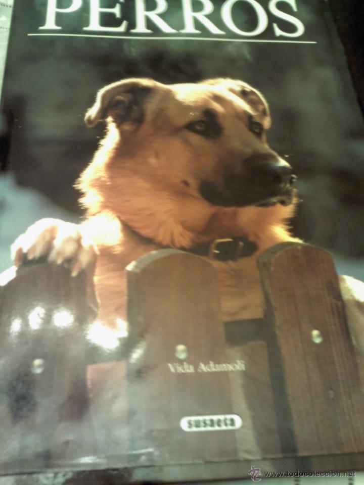 Libros: LIBRO DE PERROS EDITORIAL SUSAETA EDITADO EN 1991 - Foto 1