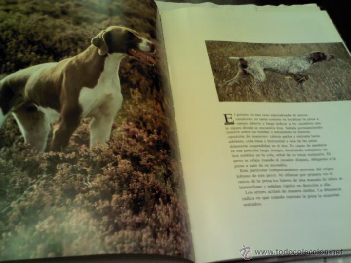 Libros: LIBRO DE PERROS EDITORIAL SUSAETA EDITADO EN 1991 - Foto 3
