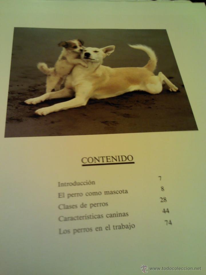 Libros: LIBRO DE PERROS EDITORIAL SUSAETA EDITADO EN 1991 - Foto 5