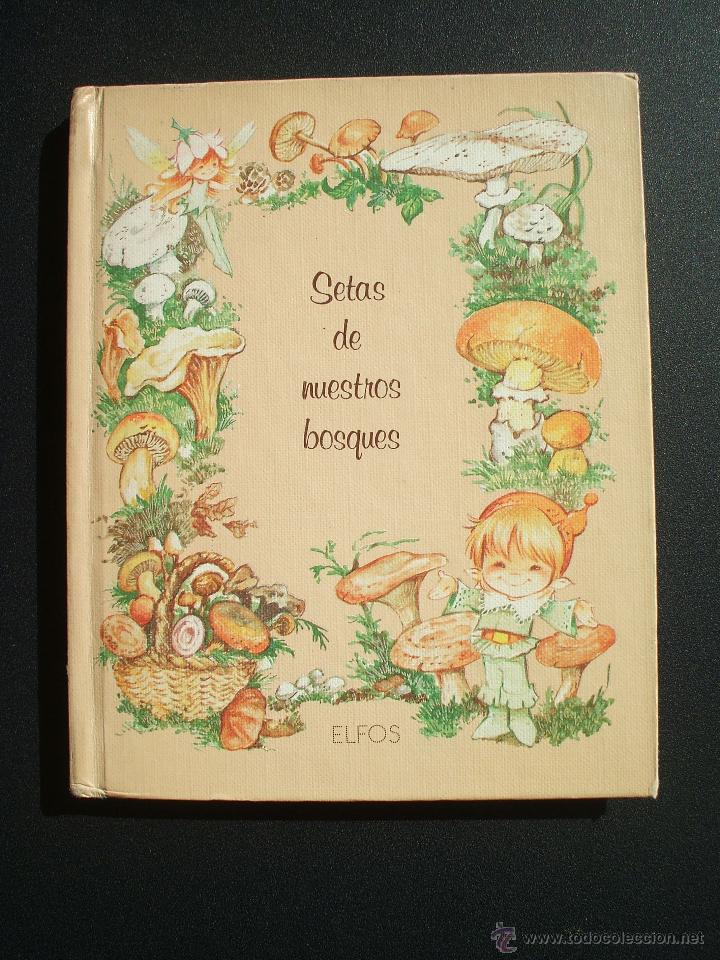 Libros: SETAS DE NUESTROS BOSQUES ILUSTRACIONES MARIA PASCUAL - Foto 1
