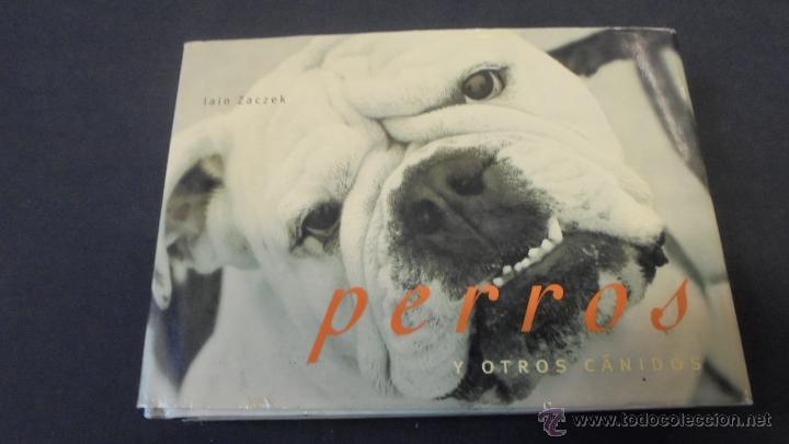Libros: PERROS Y OTROS C&Aacute;NIDOS - LAIN ZACZEK - EVERGREEN . - Foto 1