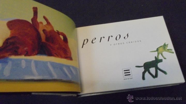 Libros: PERROS Y OTROS C&Aacute;NIDOS - LAIN ZACZEK - EVERGREEN . - Foto 2