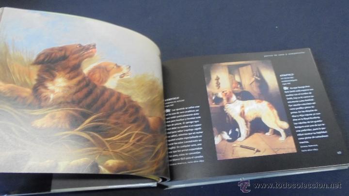 Libros: PERROS Y OTROS C&Aacute;NIDOS - LAIN ZACZEK - EVERGREEN . - Foto 3