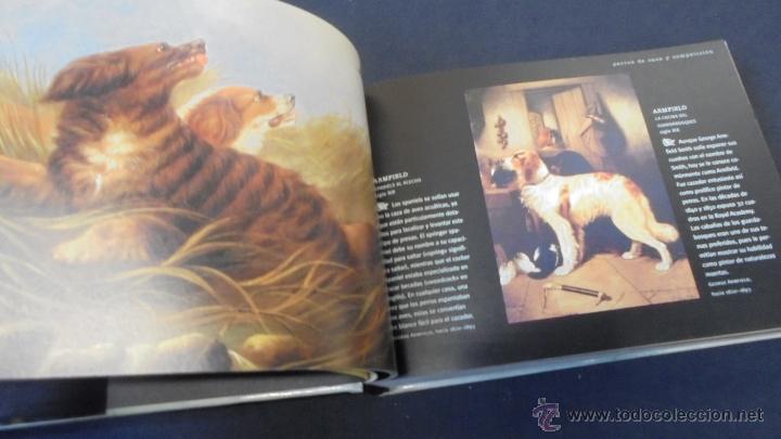 Libros: PERROS Y OTROS C&Aacute;NIDOS - LAIN ZACZEK - EVERGREEN . - Foto 4