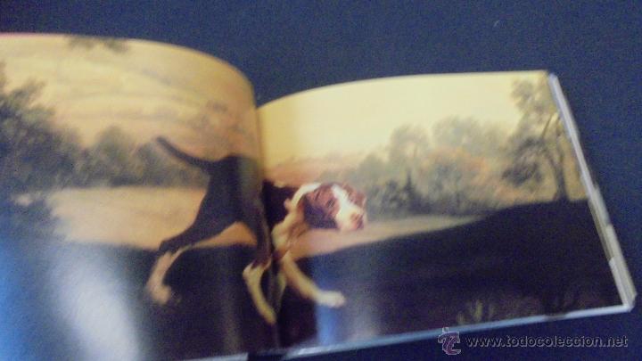 Libros: PERROS Y OTROS C&Aacute;NIDOS - LAIN ZACZEK - EVERGREEN . - Foto 5