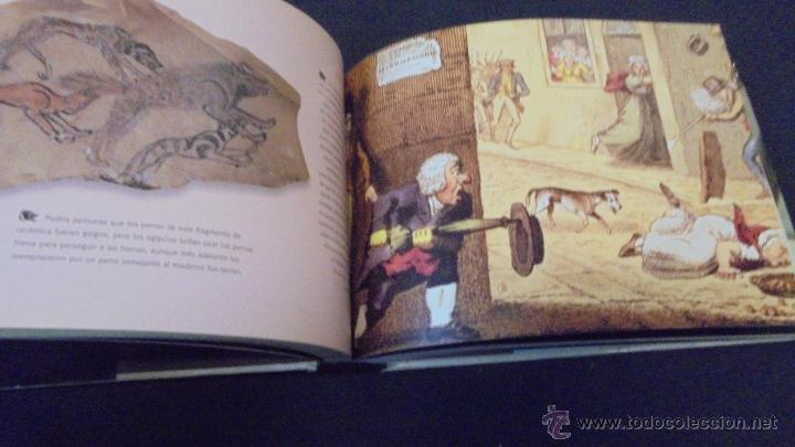 Libros: PERROS Y OTROS C&Aacute;NIDOS - LAIN ZACZEK - EVERGREEN . - Foto 6