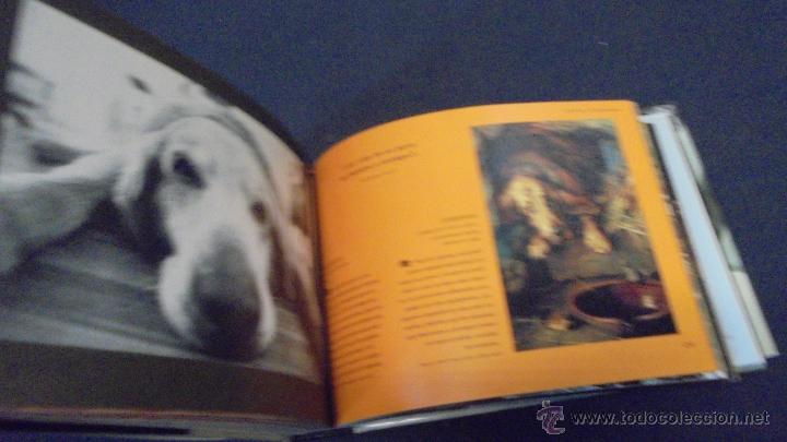 Libros: PERROS Y OTROS C&Aacute;NIDOS - LAIN ZACZEK - EVERGREEN . - Foto 8