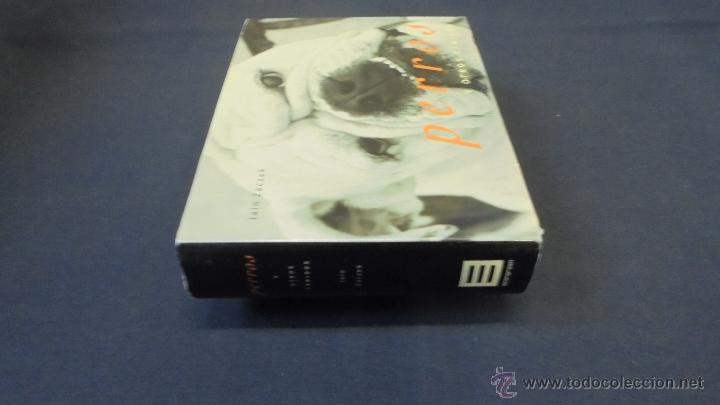 Libros: PERROS Y OTROS C&Aacute;NIDOS - LAIN ZACZEK - EVERGREEN . - Foto 9