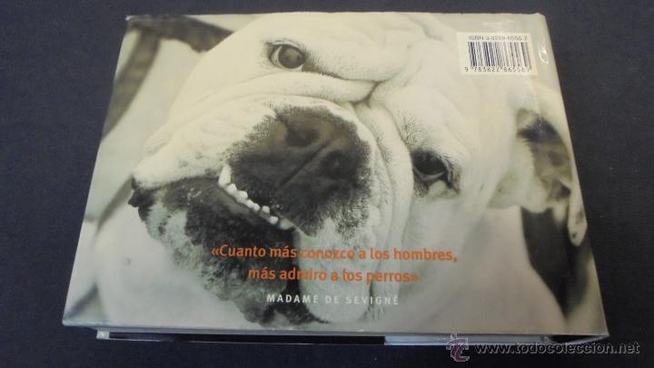 Libros: PERROS Y OTROS C&Aacute;NIDOS - LAIN ZACZEK - EVERGREEN . - Foto 10