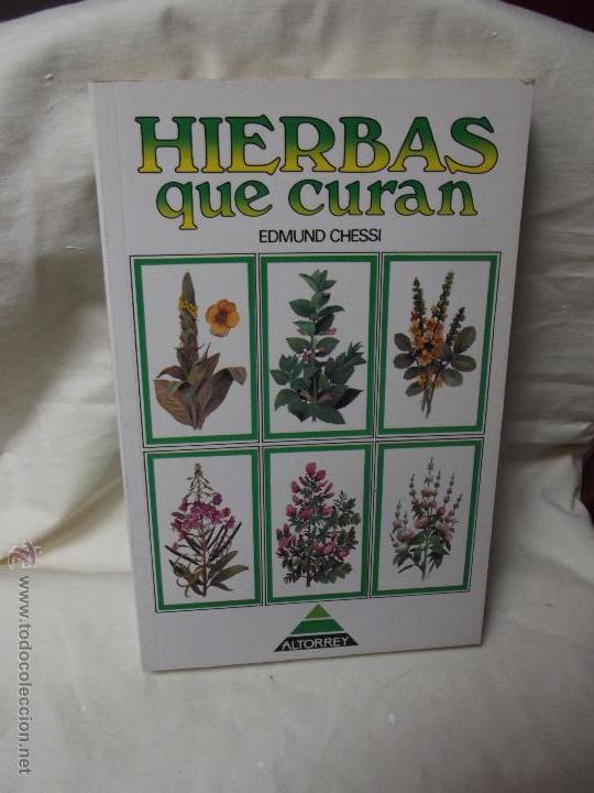 Libros: HIERBAS QUE CURAN POR EDMUND CHESSI - Foto 1