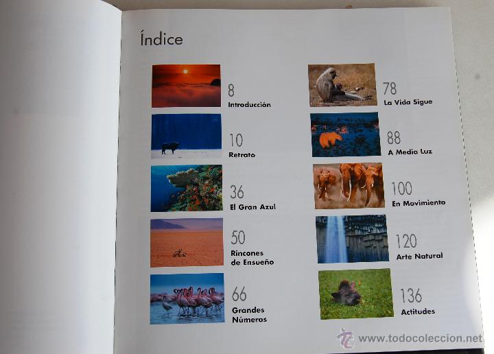 Libros: La vida en un instante. - Foto 2