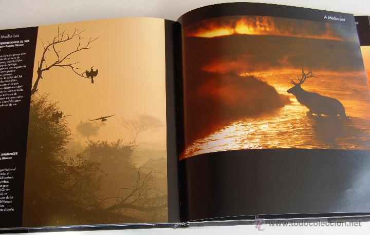 Libros: La vida en un instante. - Foto 5