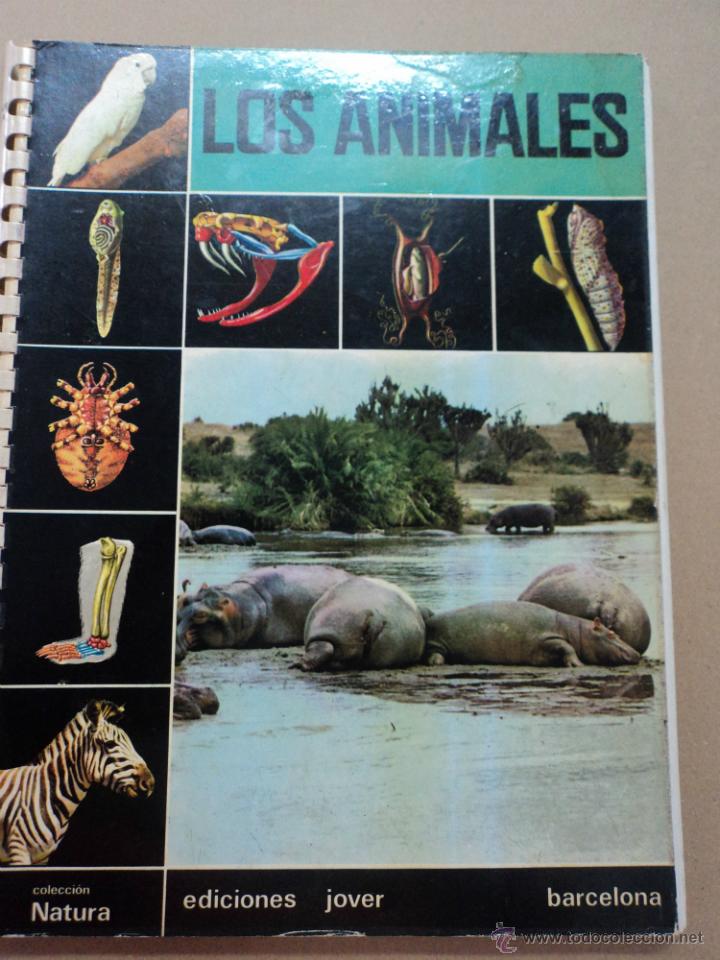 Libros: Los Animales - Ediciones Jover - Foto 1