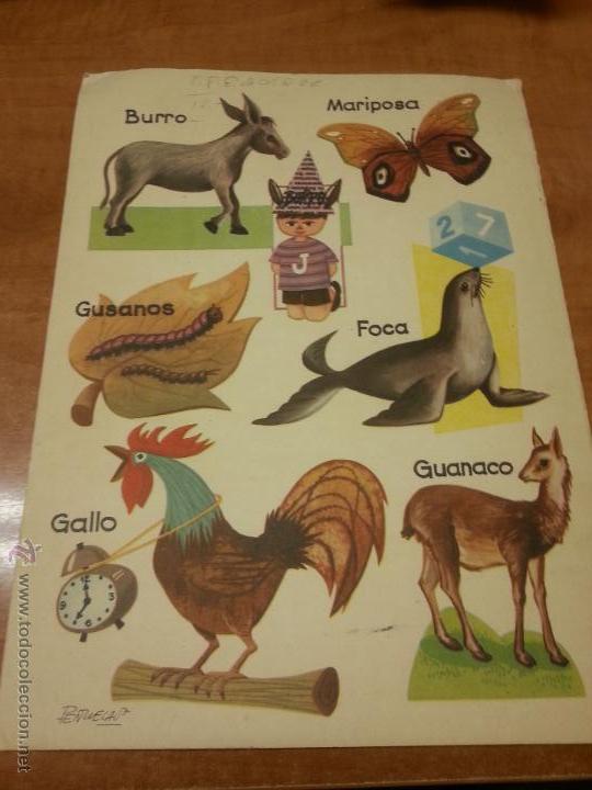 Libros: LIBRO ANIMALES DOMESTICOS (EXCLUSIVAS FERMA - Foto 2