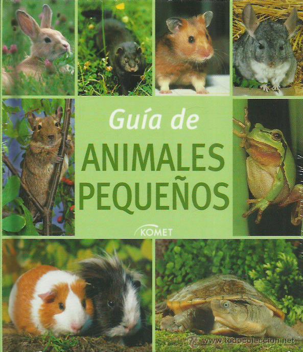 Libros: GU&Iacute;A DE ANIMALES PEQUE&Ntilde;OS - Mart&iacute;n,Anabel - Foto 1