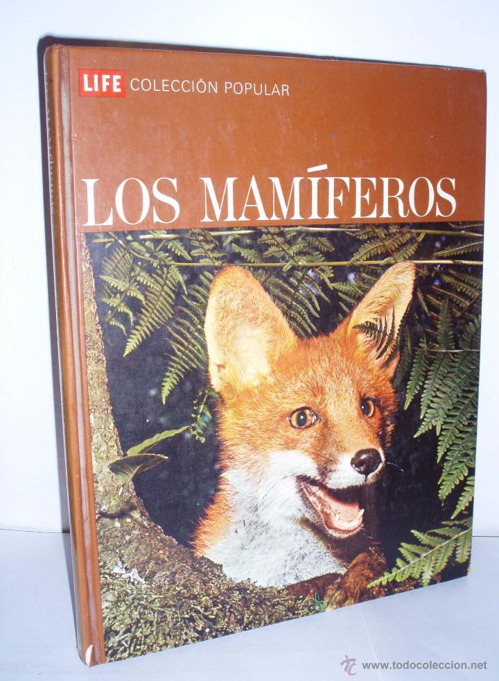 Libros: Los mamiferos de Richard Carrintong - Foto 1