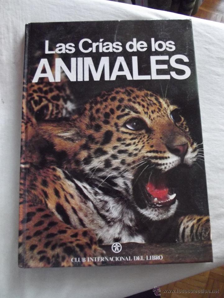Libros: LAS CRIAS DE LOS ANIMALES - Foto 1