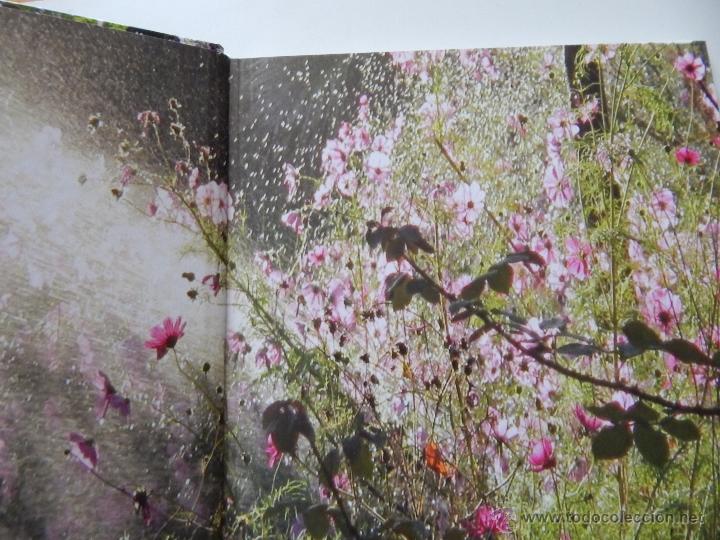 Libros: S&iacute; a la vida - M&ordf; Cristina Torrents , 2013 - Foto 3
