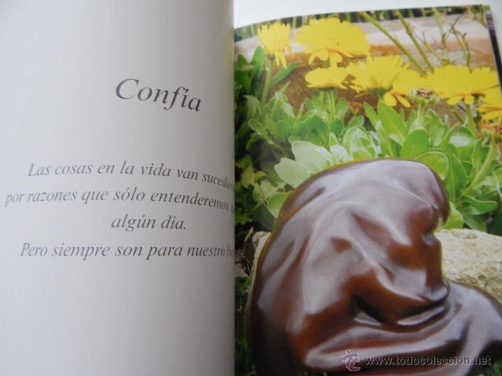 Libros: S&iacute; a la vida - M&ordf; Cristina Torrents , 2013 - Foto 9