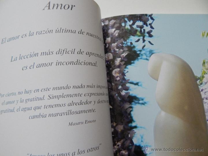Libros: S&iacute; a la vida - M&ordf; Cristina Torrents , 2013 - Foto 10