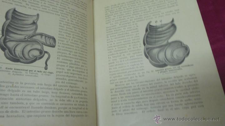 Libros: EL MEDICO DEL HOGAR. JENNY SPRINGER. ORBIS. 1931. CON SUPLEMENTOS. - Foto 5