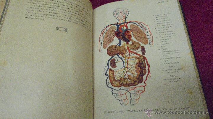 Libros: EL MEDICO DEL HOGAR. JENNY SPRINGER. ORBIS. 1931. CON SUPLEMENTOS. - Foto 6
