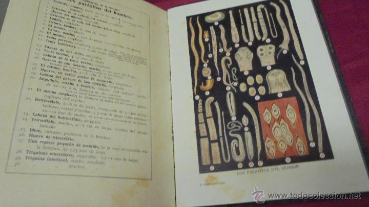 Libros: EL MEDICO DEL HOGAR. JENNY SPRINGER. ORBIS. 1931. CON SUPLEMENTOS. - Foto 10
