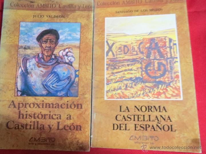 Libros: APROXIMACION HISTORICA A CASTILLA Y LEON,LA NORMA CASTELLANA DEL ESPA&Ntilde;OL.