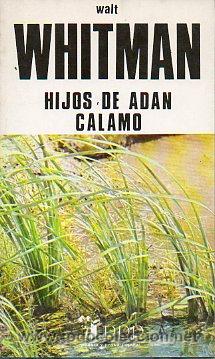 Libros: HIJOS DE AD&Aacute;N / C&Aacute;LAMO. - Foto 1