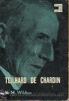 Libros: TEILHARD DE CHARDIN. - Foto 1