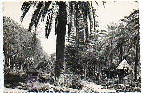 Libros: Tarjeta Postal: 52. M&Aacute;LAGA. Jardines del Parque. - Foto 1