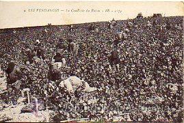 Libros: Tarjeta Postal: 9. LES VENDANGES. La Cueillette de Raisin. - Foto 1