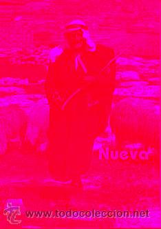 Libros: NUEVA GU&Iacute;A DEL PA&Iacute;S DE JES&Uacute;S. - Foto 1