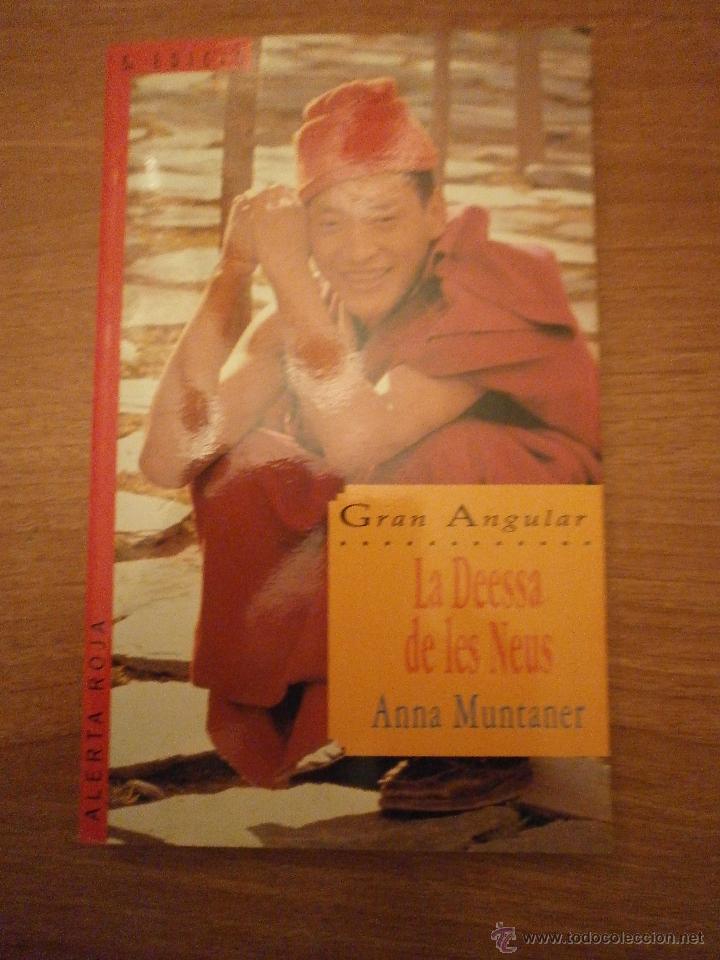 Libros: GRAN  ANGULAR - LA DEESSA  DE LES NEUS -ANNA MUNTANER - Foto 1