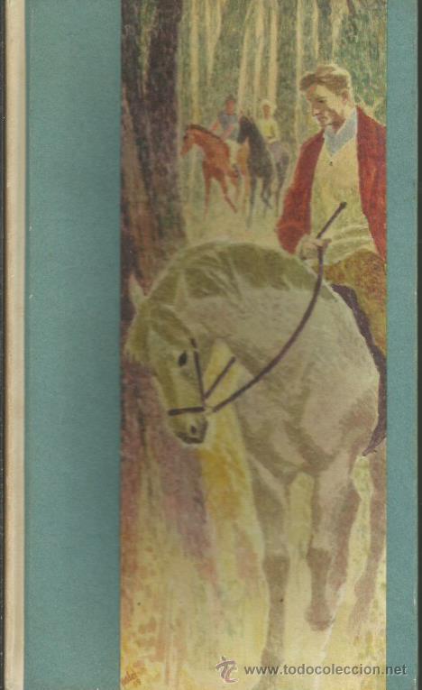 Libros: EN EL PROFUNDO BOSQUE - Zilahy,Lajos - Foto 1