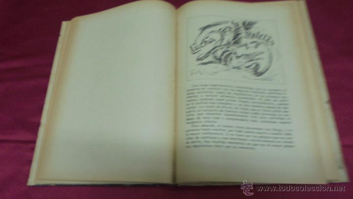 Libros: RELATOS DE LA SELVA. 3 TOMOS. RAFAEL FERRER. 1948. 1&ordf; EDICI&Oacute;N. - Foto 5
