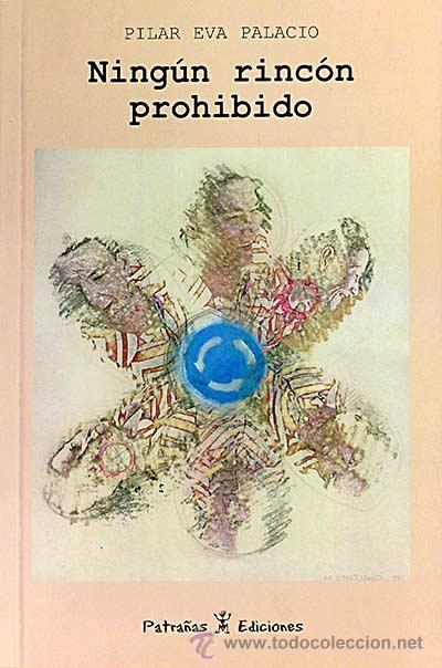 Libros: Ning&uacute;n rinc&oacute;n prohibido - Pilar Eva Palacio - Foto 1