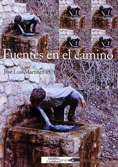 Libros: Fuentes en el camino - Jos&eacute; Luis Mart&iacute;nez sm - Foto 1