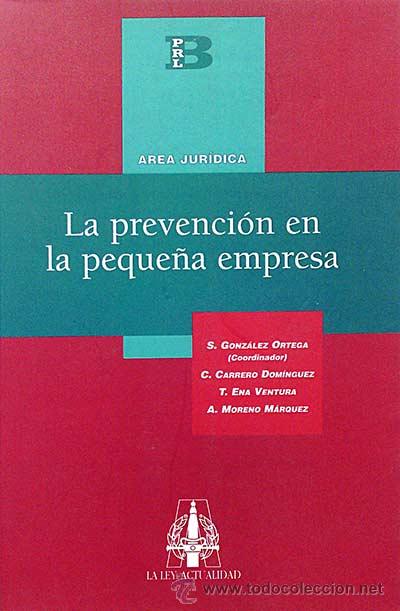 Libros: La prevenci&oacute;n en la peque&ntilde;a empresa - VV. AA. - Foto 1