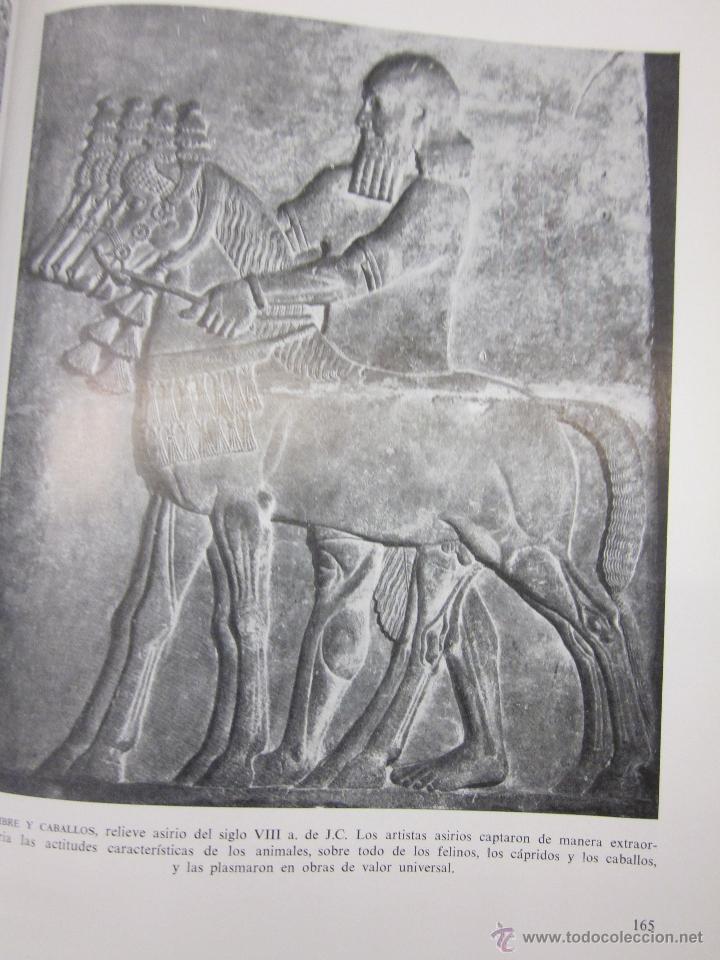 Libros: Mitologia oriental ilustrada - CID, CARLOS - Foto 3