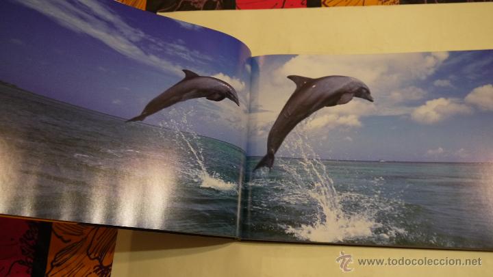 Libros: OC&Eacute;ANOS - DAVID MILLER - EDIMA - 2007 - Foto 5