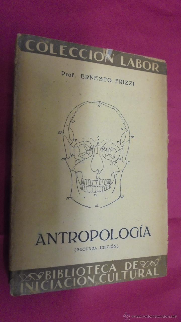 Libros: ANTROPOLOG&Iacute;A. ERNSTO FRIZZI. EDITORIAL LABOR. 2&ordf; EDICI&Oacute;N. - Foto 1
