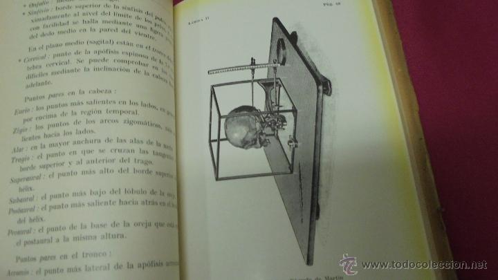 Libros: ANTROPOLOG&Iacute;A. ERNSTO FRIZZI. EDITORIAL LABOR. 2&ordf; EDICI&Oacute;N. - Foto 3