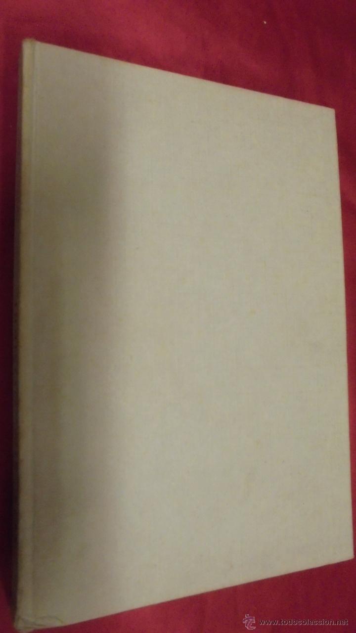 Libros: LOS SIN NOMBRE. MANUEL S&Aacute;ENZ. WILLY WOLF. JOAQUIN ALMENDROS EDITOR. 1969. - Foto 1