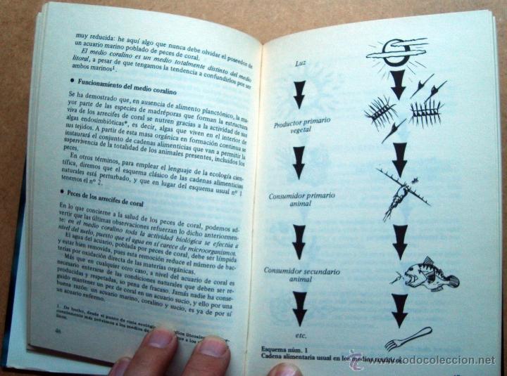 Libros: Libro, peces, la salud del acuario, ediciones Daimon - Foto 5