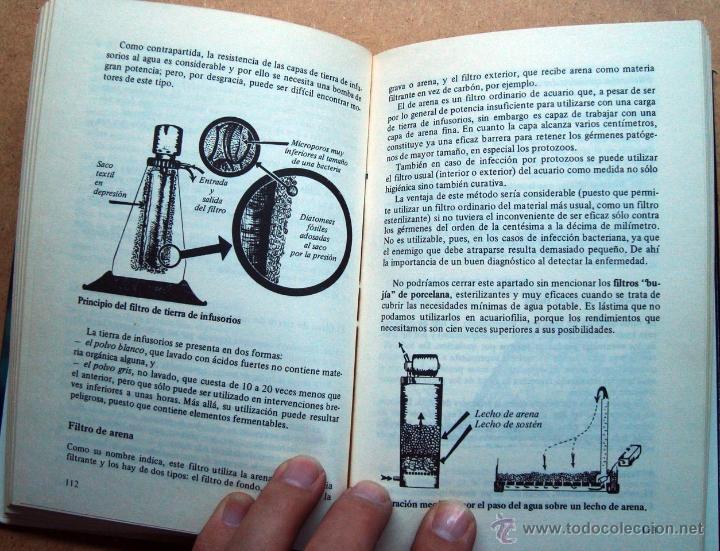 Libros: Libro, peces, la salud del acuario, ediciones Daimon - Foto 6