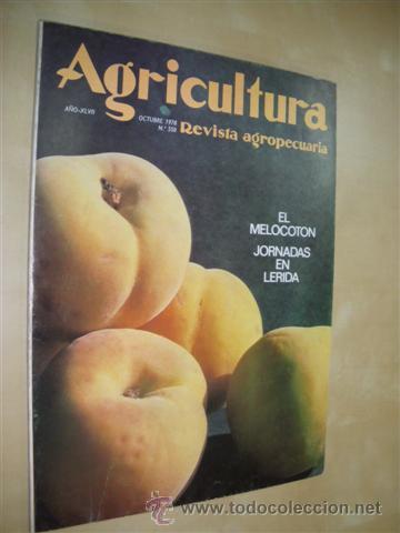 Livros em segunda m&atilde;o: AGRICULTURA. REVISTA AGROPECUARIA. N&ordm;558. OCTUBRE 1978. EL MELOCOT&Oacute;N. JORNADAS EN L&Eacute;RIDA - REVISTA